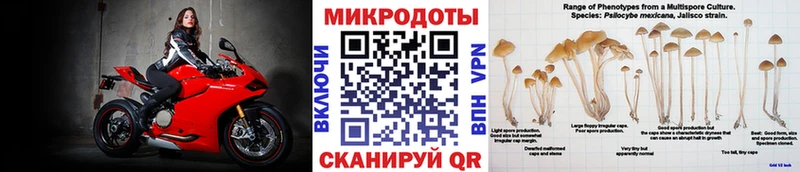 Псилоцибиновые грибы мицелий  где продают наркотики  Якутск 
